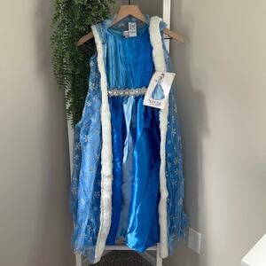 Princess Paradise Blue Ice Frozen Princess Costume Youth Girl's Medium